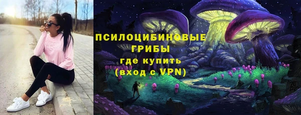 эйфоретик Арсеньев
