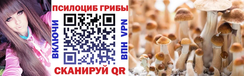 цены   Льгов  Галлюциногенные грибы мухоморы 